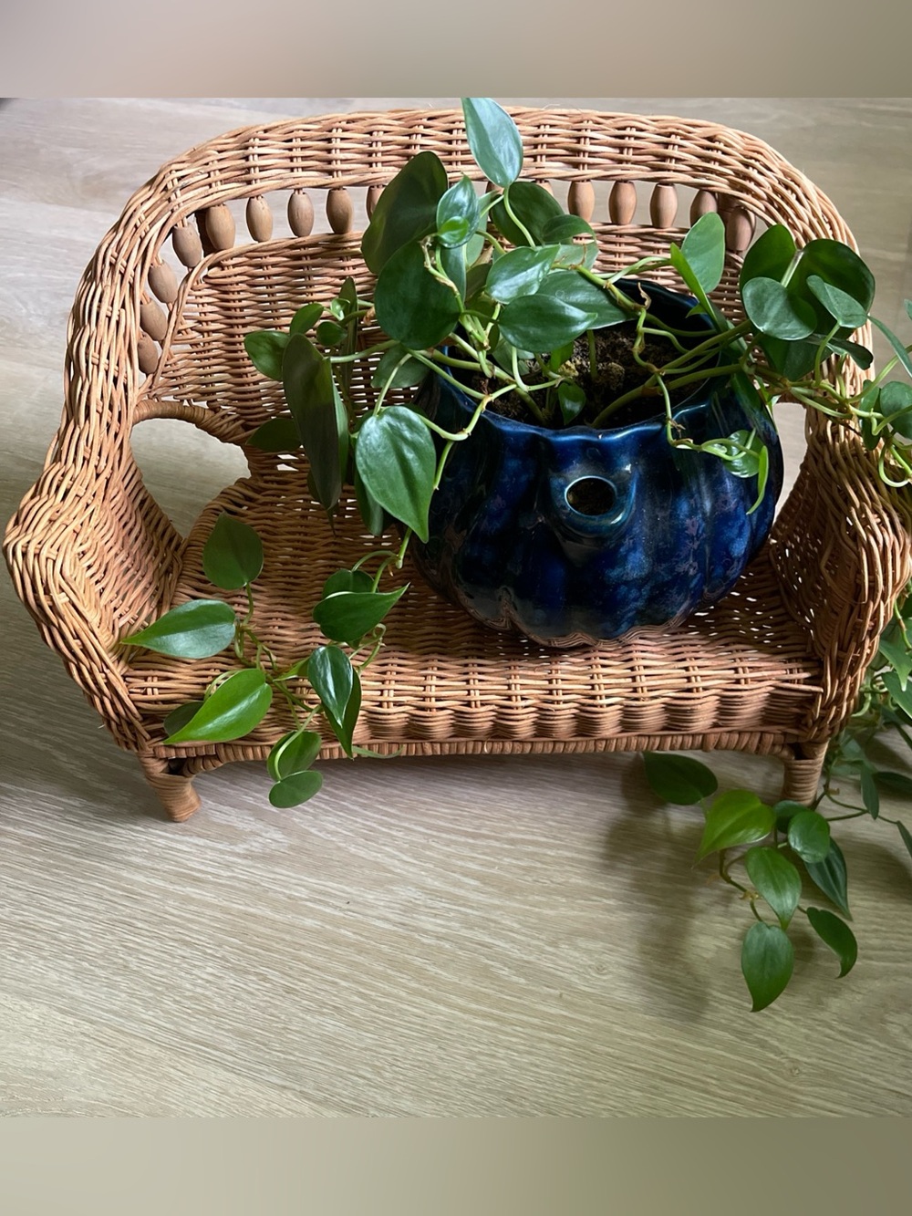 Vintage Rattan Wicker plant stand doll chair Cottagecore